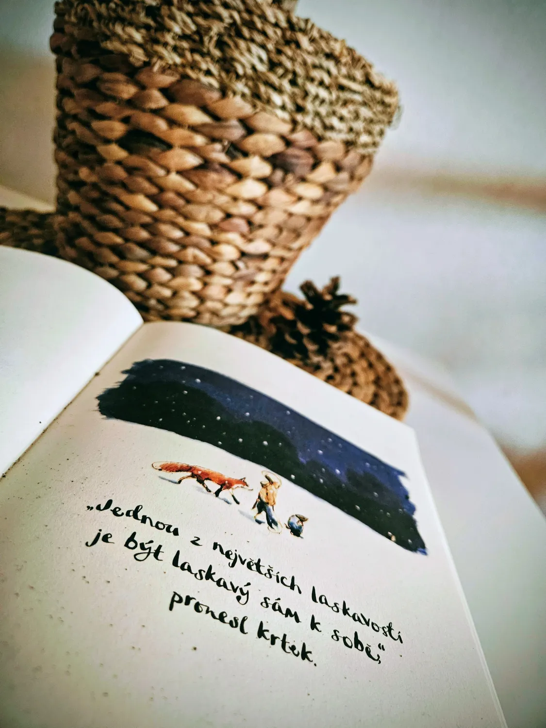 Citátová fotografie